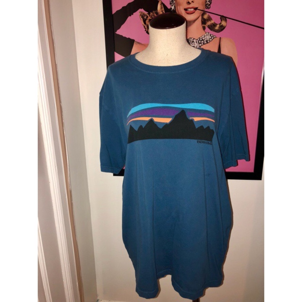 Patagonia tee size large